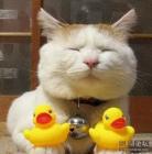 roongnapa's Avatar roongnapa's Avatar