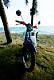 zerosound_palmy's Avatar