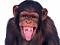 tgtg87@hotmail.com's Avatar