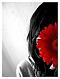 InDy_DaLa's Avatar