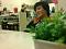 chitza's Avatar