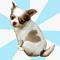 trendyday-shop's Avatar