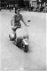 scooterman's Avatar