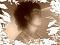 ӻ(",)'s Avatar
