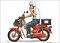 OhnFreerider's Avatar