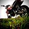 KSR-classic's Avatar