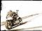 hell cat's Avatar