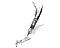 Antiquepens's Avatar
