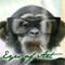 eyesofart's Avatar