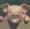 ⹺Ե's Avatar