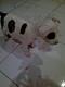 manmanee's Avatar