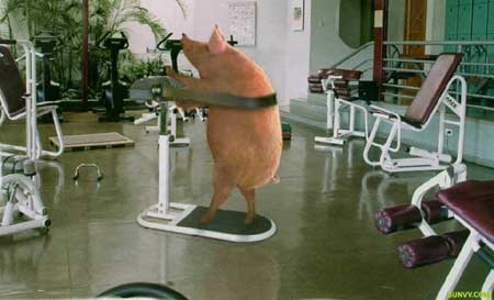 Name:  untitled.JPG
Views: 327
Size:  65.2 KB