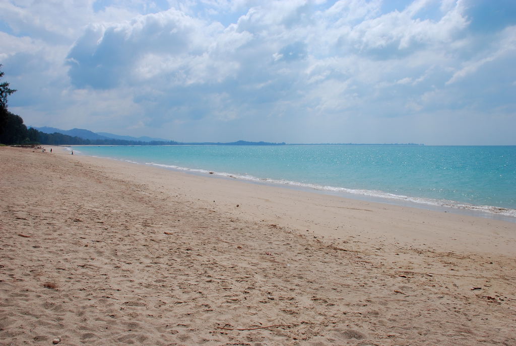 Name:  DSC_00560003.JPG
Views: 2202
Size:  137.8 KB