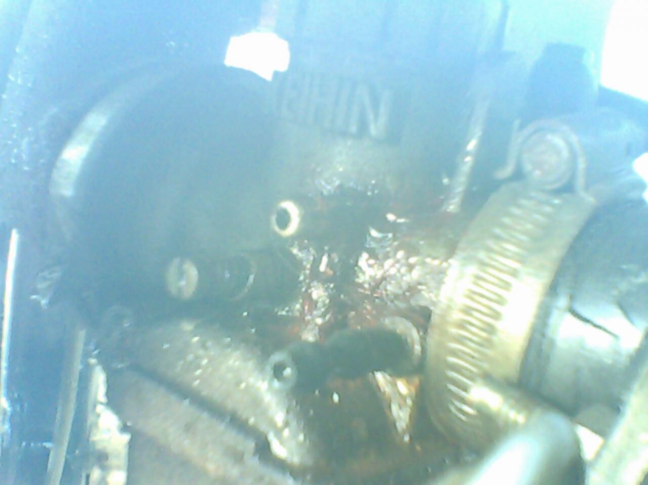 Name:  IMG0652A.jpg
Views: 1942
Size:  78.1 KB