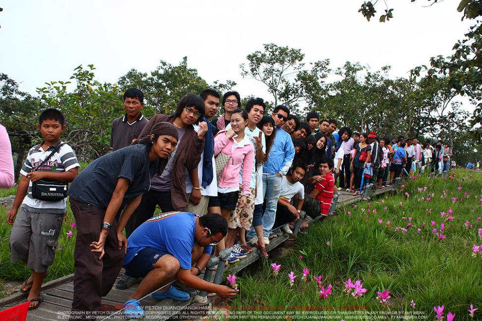 Name:  11.jpg
Views: 957
Size:  151.9 KB