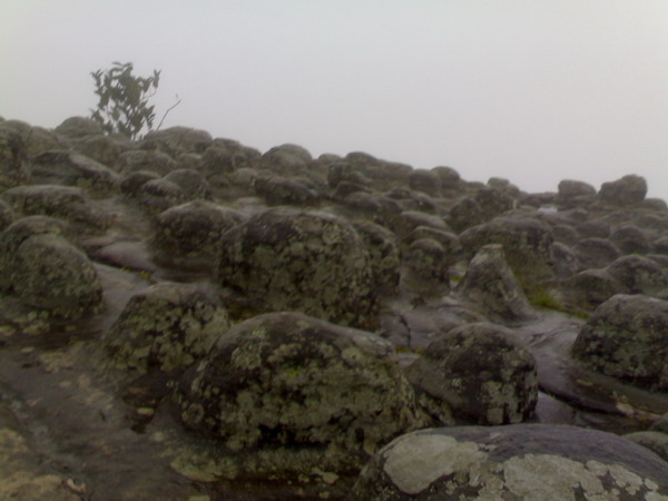 Name:  06072009907.jpg
Views: 515
Size:  63.7 KB