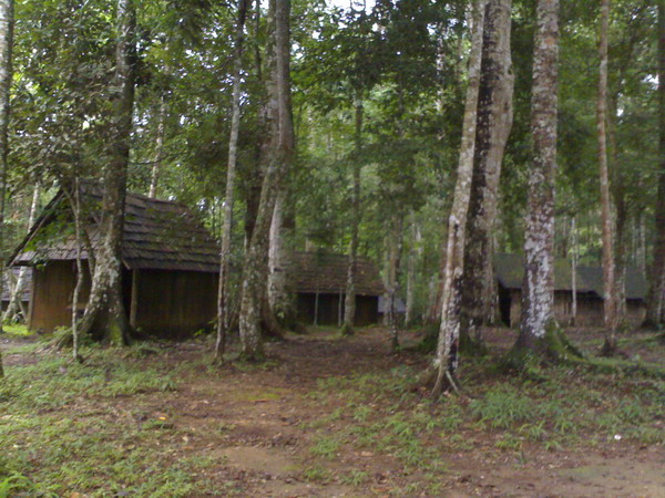 Name:  06072009837.jpg
Views: 541
Size:  124.0 KB