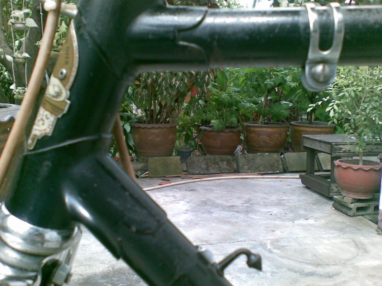 Name:  ٻҾ283.jpg
Views: 1380
Size:  145.9 KB