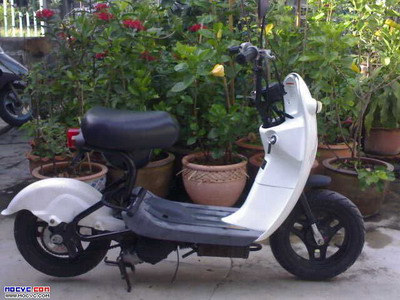 Name:  1243667491.jpg
Views: 1366
Size:  46.3 KB