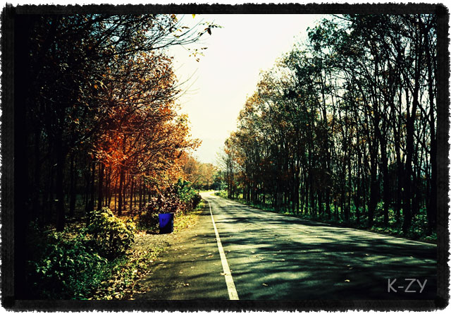 Name:  044.jpg
Views: 576
Size:  124.5 KB