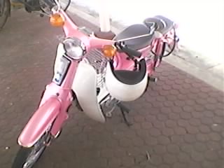 Name:  SP_A0089.jpg
Views: 226
Size:  13.2 KB