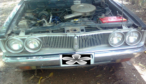 Name:  0392.1.jpg
Views: 4411
Size:  90.1 KB