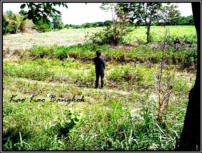 Name:  a25.jpg
Views: 1306
Size:  136.0 KB