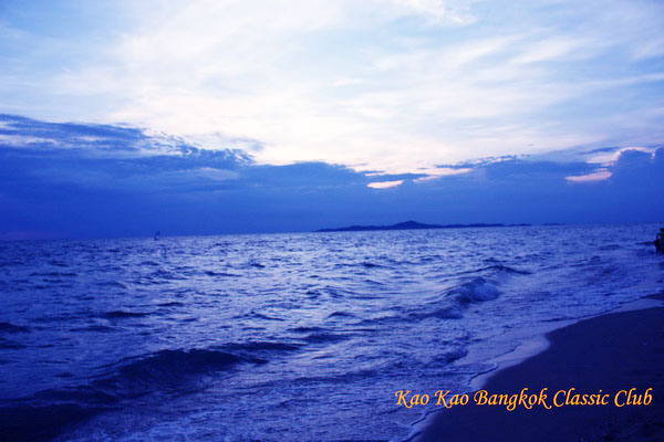 Name:  IMG_6320 copy copy.jpg
Views: 640
Size:  72.9 KB