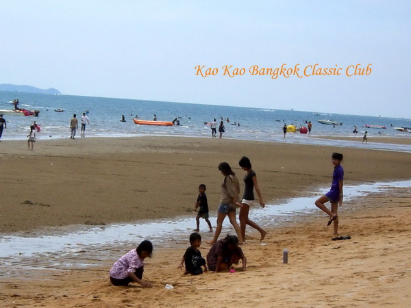 Name:  CIMG0934 copy.jpg
Views: 487
Size:  109.2 KB