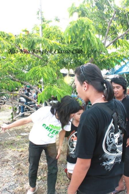 Name:  IMG_6817.jpg
Views: 539
Size:  67.2 KB