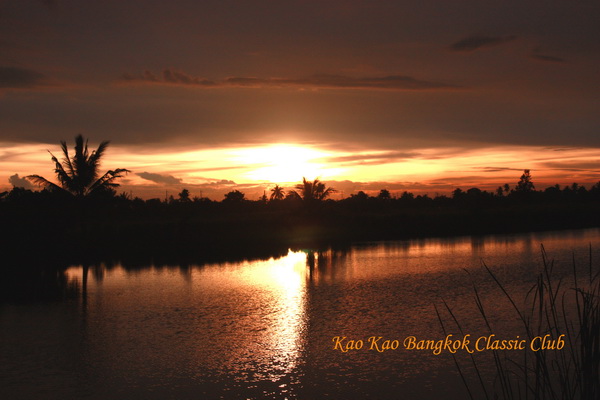 Name:  IMG_6865.jpg
Views: 524
Size:  82.2 KB