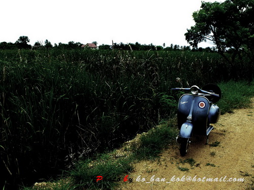 Name:  Copy of DSCF6774 copy1.jpg
Views: 2061
Size:  109.8 KB