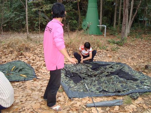 Name:  DSC01131.JPG
Views: 216
Size:  83.6 KB