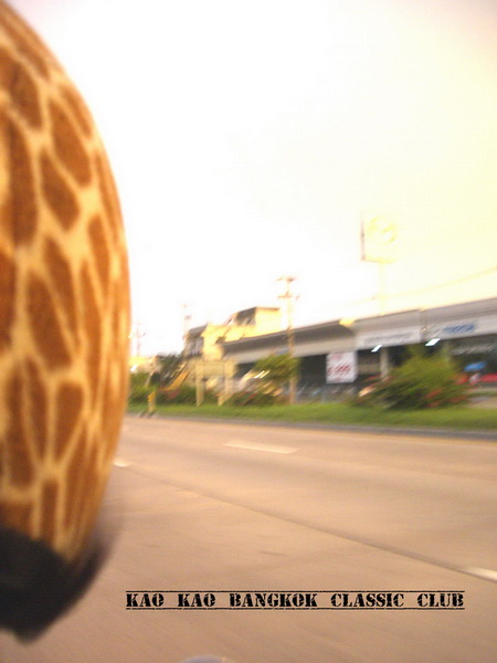 Name:  CIMG1002 copy.jpg
Views: 756
Size:  72.0 KB