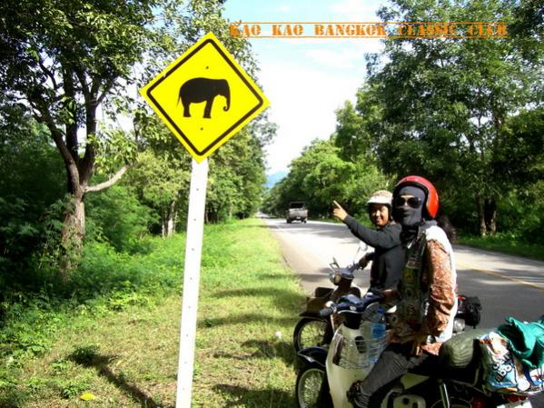 Name:  CIMG1017 copy.jpg
Views: 1371
Size:  76.1 KB