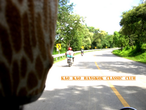 Name:  CIMG1019 copy.jpg
Views: 737
Size:  100.2 KB