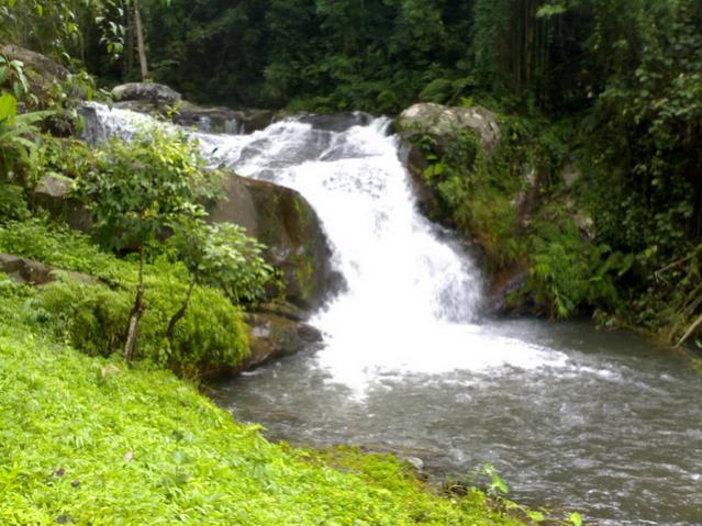 Name:  101020091077.jpg
Views: 675
Size:  60.5 KB