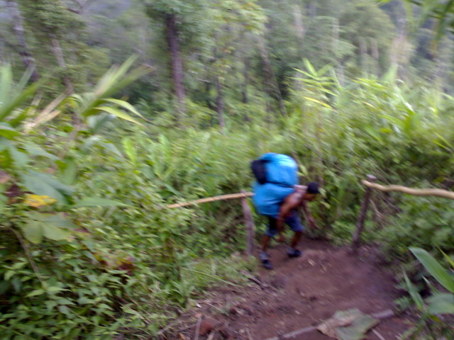 Name:  101020091097.jpg
Views: 696
Size:  133.0 KB