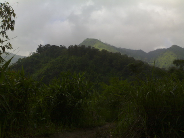 Name:  101020091090.jpg
Views: 668
Size:  79.7 KB