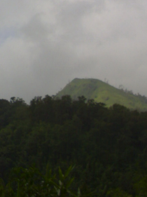 Name:  101020091091.jpg
Views: 675
Size:  50.8 KB