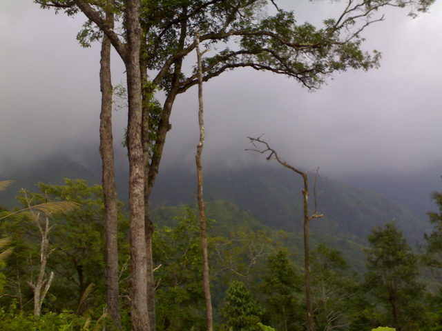 Name:  101020091093.jpg
Views: 670
Size:  111.7 KB