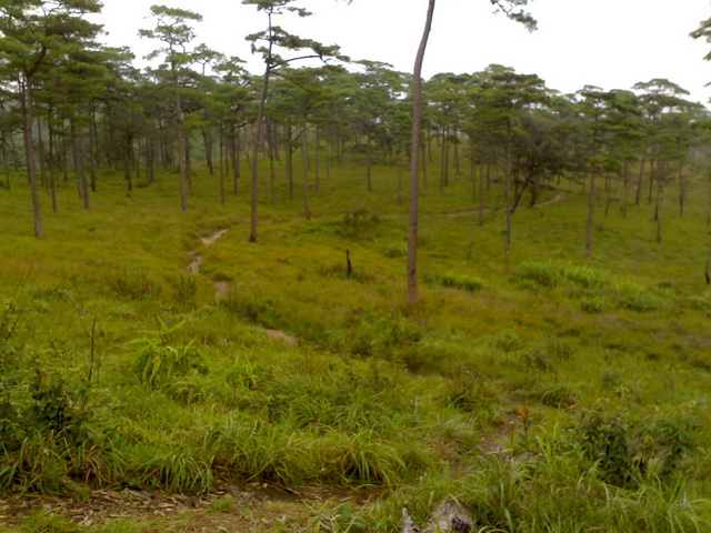 Name:  101020091116.jpg
Views: 668
Size:  137.7 KB