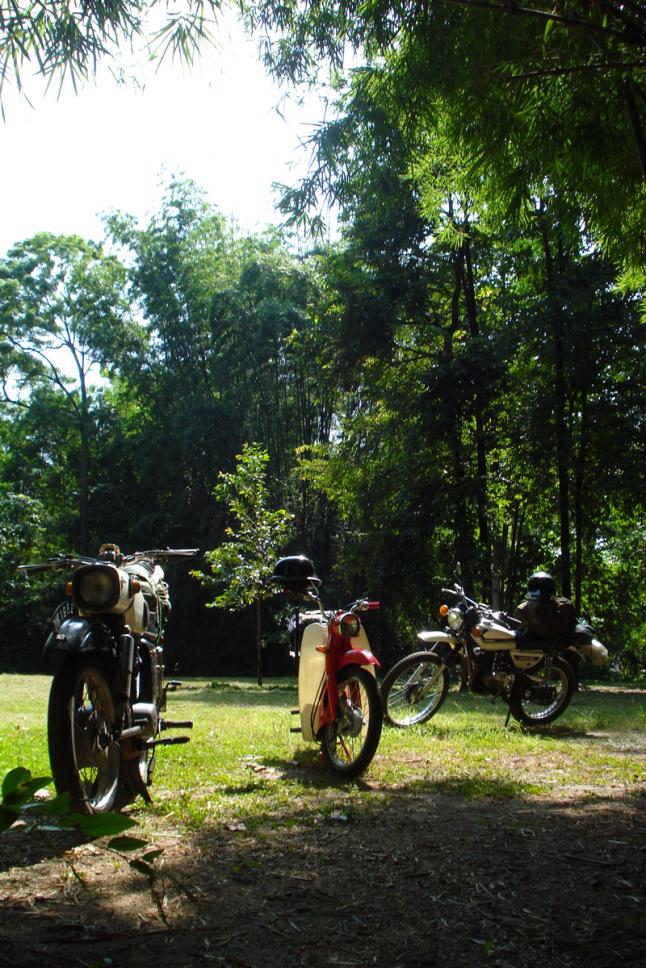 Name:  DSC02688.jpg
Views: 253
Size:  144.2 KB