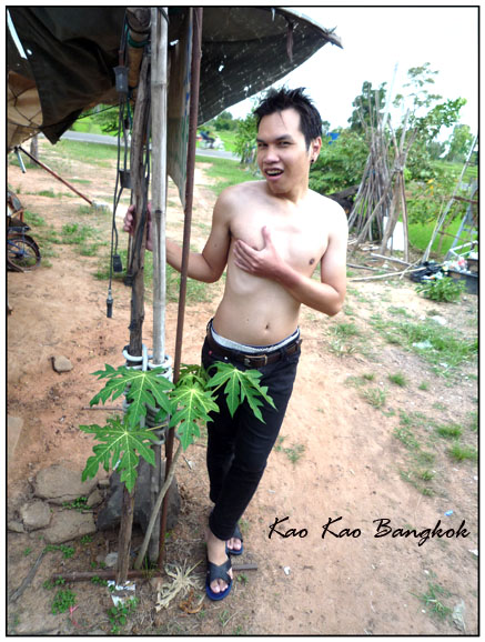 Name:  20.jpg
Views: 439
Size:  129.6 KB