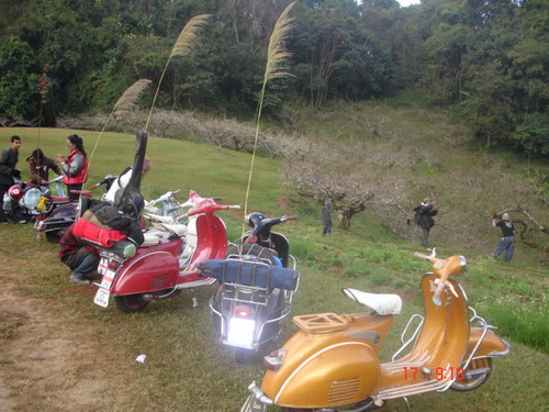Name:  DSC07172.jpg
Views: 444
Size:  89.2 KB