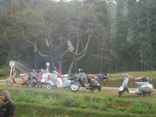Name:  DSC07178.jpg
Views: 443
Size:  76.5 KB