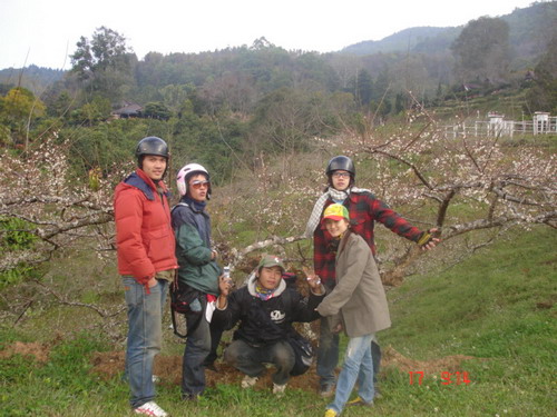 Name:  DSC07176.jpg
Views: 429
Size:  85.1 KB