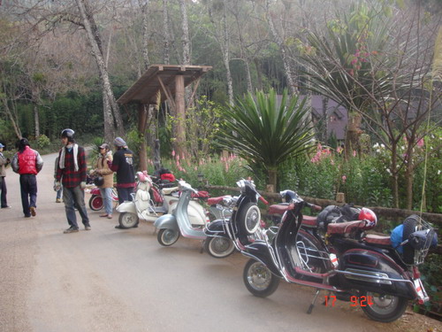 Name:  DSC07182.jpg
Views: 399
Size:  87.0 KB