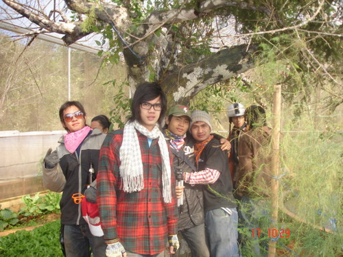 Name:  DSC07198.jpg
Views: 409
Size:  101.4 KB