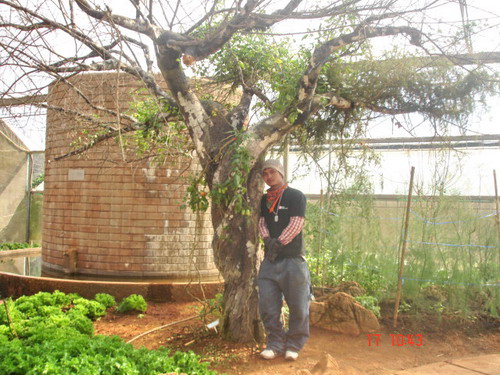 Name:  DSC07201.jpg
Views: 448
Size:  102.3 KB
